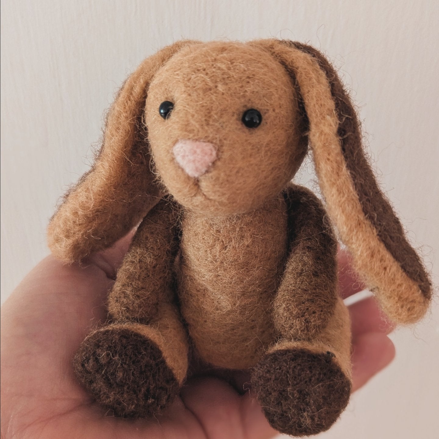 Brown bunny