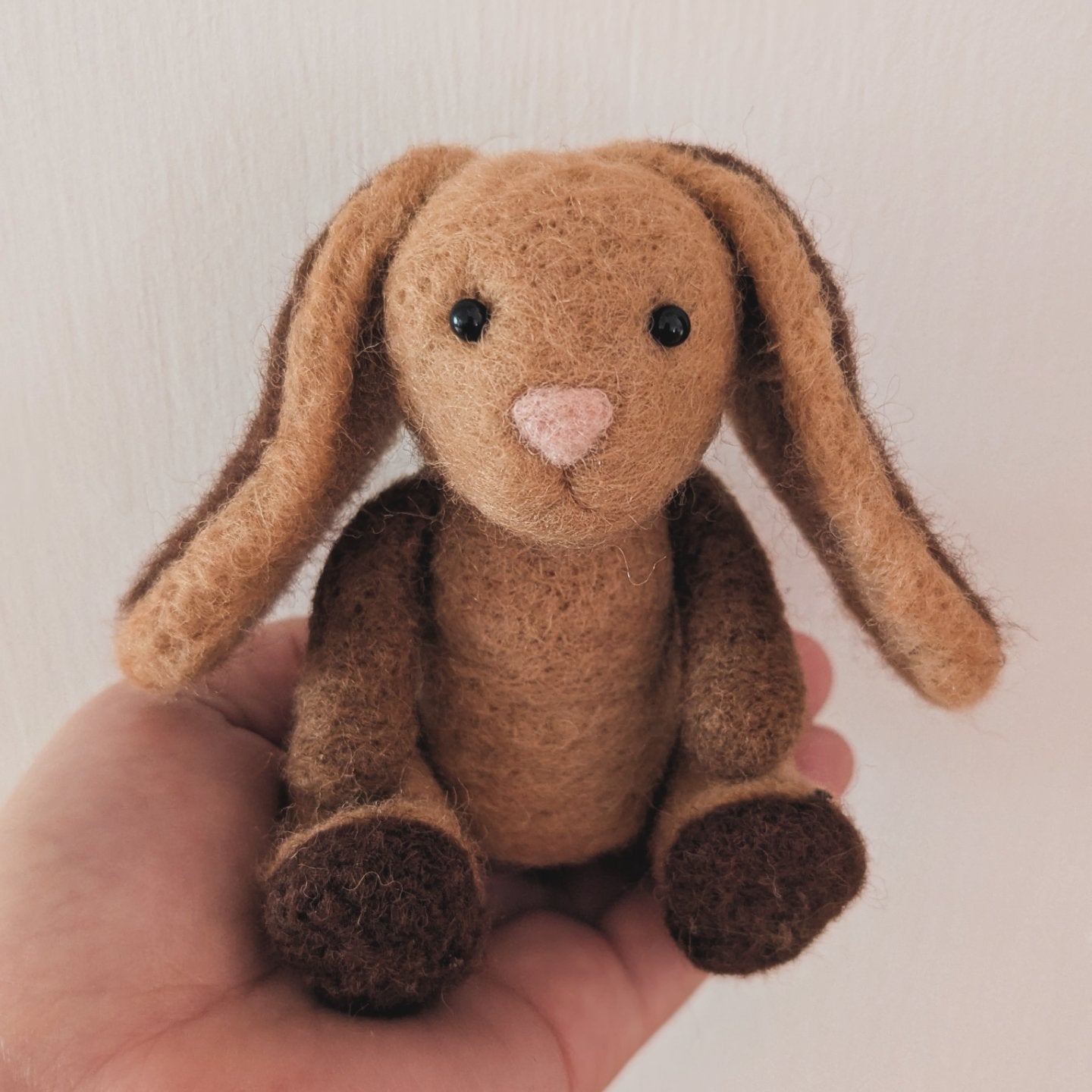 Brown bunny